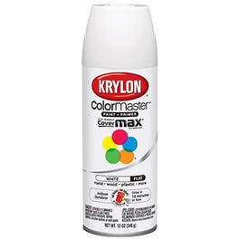 Colormaster Spray Paint, Indoor/Outdoor Use, Flat White, 12-oz.