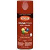 COLORmaxx Spray Paint + Primer, Gloss Cherry Red, 12-oz.