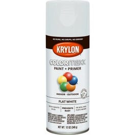 COLORmaxx Spray Paint + Primer, Flat White, 12-oz.