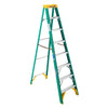 Werner Fiberglass Step Ladder